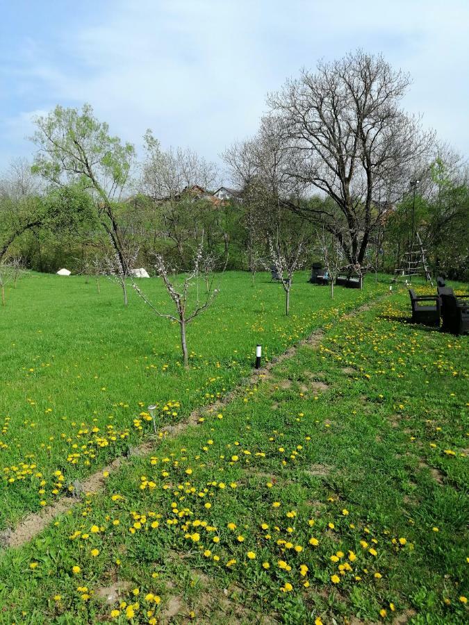فندق Casa Veche كوربين المظهر الخارجي الصورة